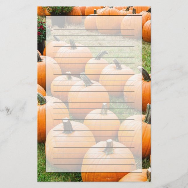 Papelaria Abóboras para a venda no mercado de um fazendeiro (Frente)