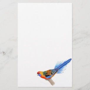 Papelaria Adelaide Rosella - Papagaio