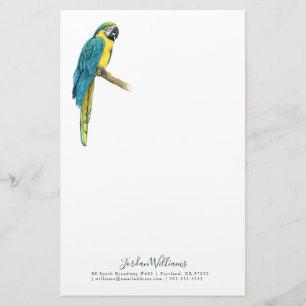 Papelaria Adicionar Seu Nome  Uma Macaw Teal