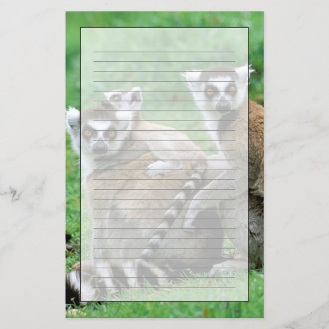 Papelaria África, Madagáscar, Antananarivo, Tsimbaza (Frente)