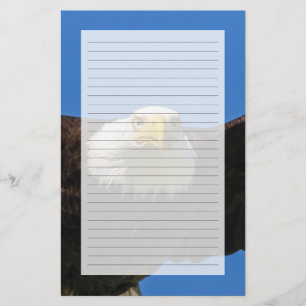 Papelaria Águia Americana Voa Perto