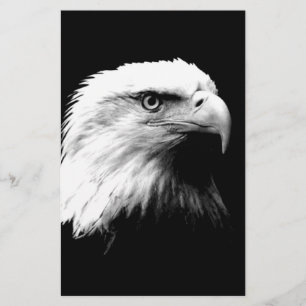 Papelaria Águia Bald Americano