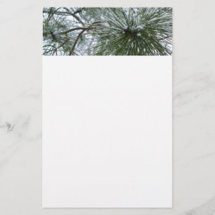 Papelaria Agulhas de Snowy Pine Fotografia de inverno
