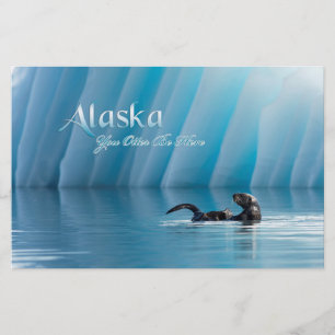 Papelaria Alaska-Você Deveria Estar Aqui