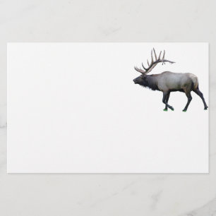 Papelaria Alces do veado norte-americano do salgueiro