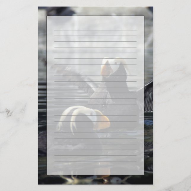 Papelaria Alfinetes tufados do Alasca (Frente)