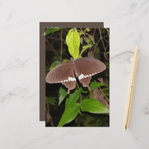 PAPELARIA AME O PRESENTE DE BOTTERFLY PARA QUALQUER UM
