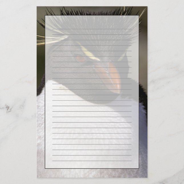 Papelaria Antártica, Ilhas Sub-Antárticas, Sul 5 (Frente)