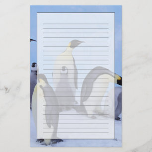 Papelaria Antártida, Pinguins Imperadores
