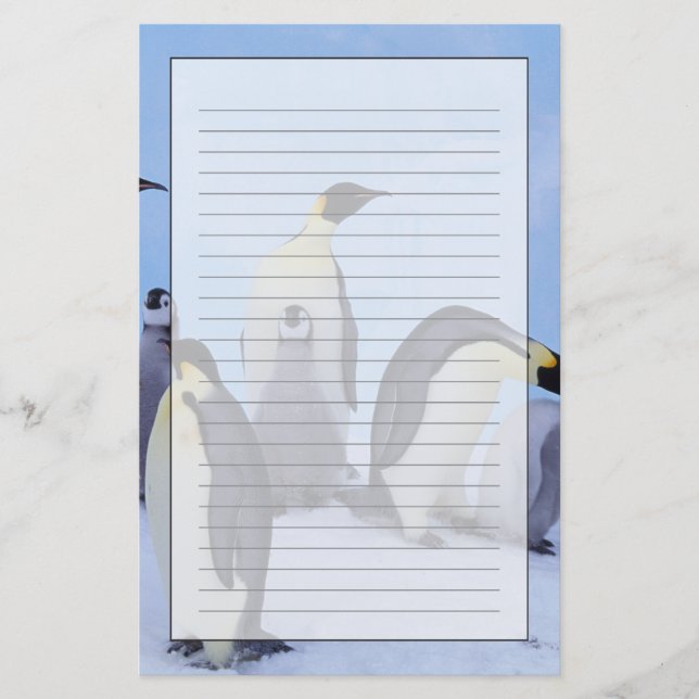 Papelaria Antártida, Pinguins Imperadores (Frente)