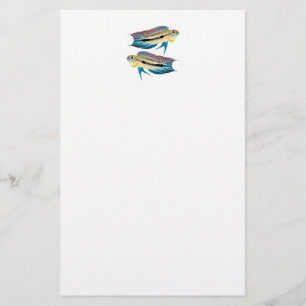 Papelaria "Apistogramma mendezi"の 優 良 製 品