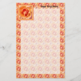Papelaria Apricot Peach Rosa Flower Close Up Photo Design