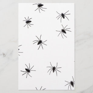Papelaria aranhas