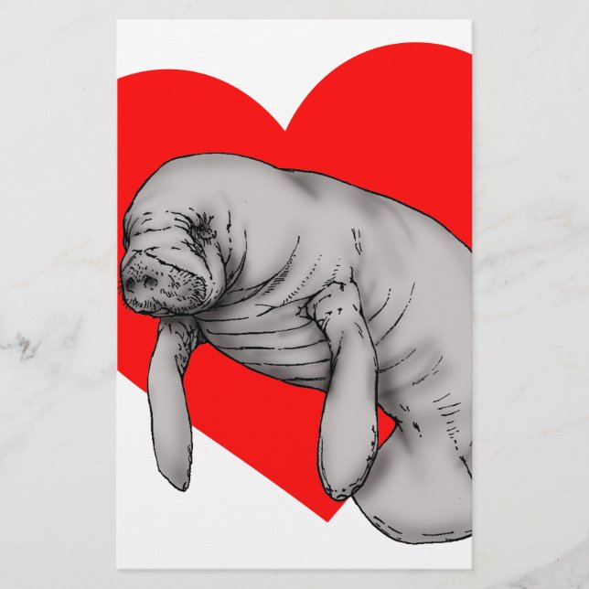 Papelaria arte manateada (Frente)