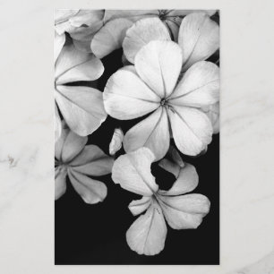 Papelaria Arte Monocromático Vintage de Plumbago