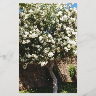 Papelaria Árvore do jasmim na flor
