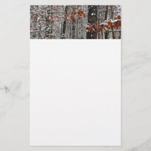 Papelaria Árvores de carvalho cobertas por neve Fotografia 