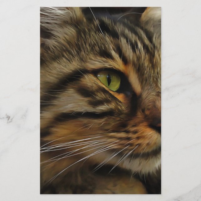 Papelaria Aslan, O Gato Do Tabby De Cabelo Longo (Frente)