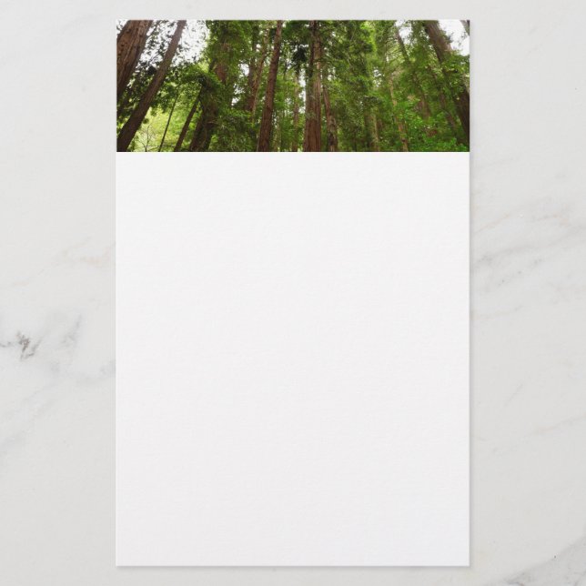 Papelaria Até Redwoods I em Muir Woods National Monument (Frente)