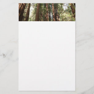 Papelaria Até Redwoods II no Monumento Nacional Muir Woods