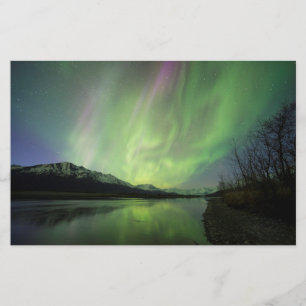 Papelaria Aurora maravilhosa