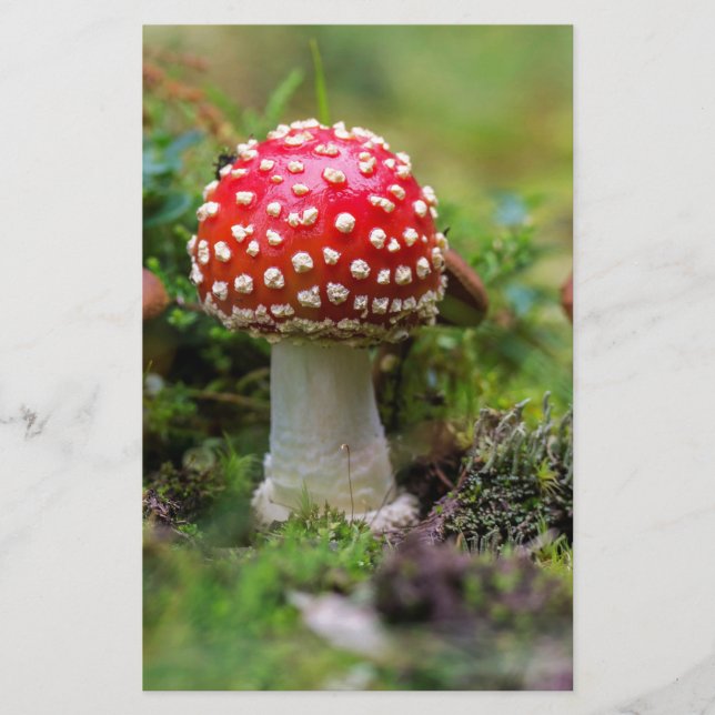 Papelaria Autumn Beauty (Frente)