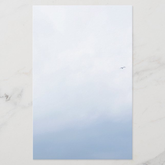 Papelaria Aves do Céu Azul (Frente)