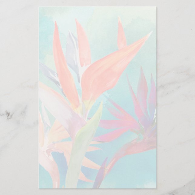 Papelaria Aves Vivas do Paraíso (Frente)