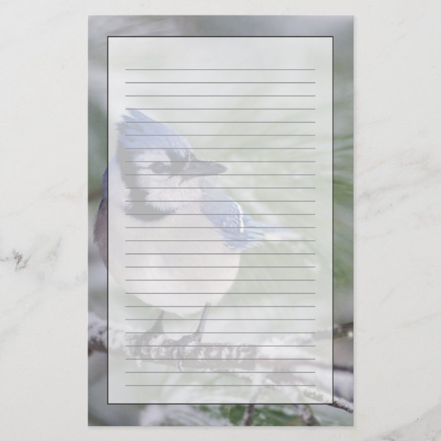 Papelaria Azul Jay, Cyanocitta cristata (Frente)