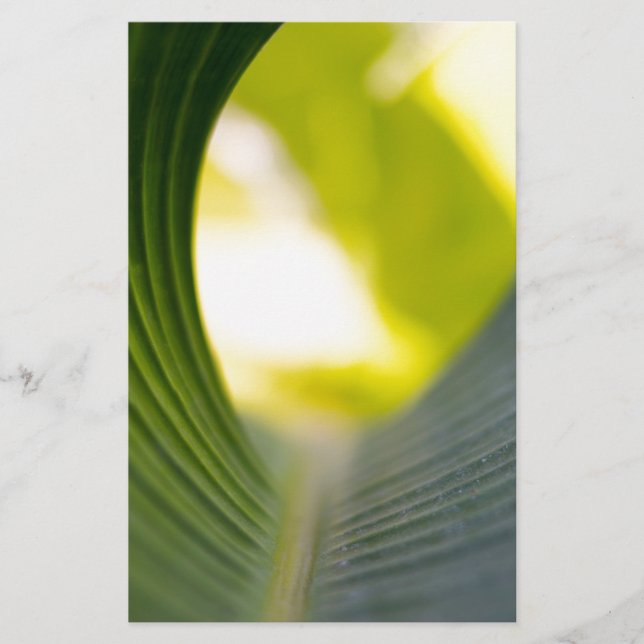 Papelaria Banana Leaf (Frente)