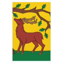 Bandeira de Berkshire (Reino Unido)