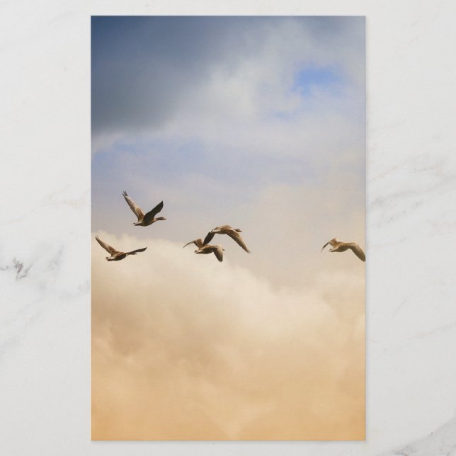 Papelaria Bando de Aves em Voo (Frente)