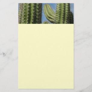 Papelaria Barrel Cactus I Desert Photo