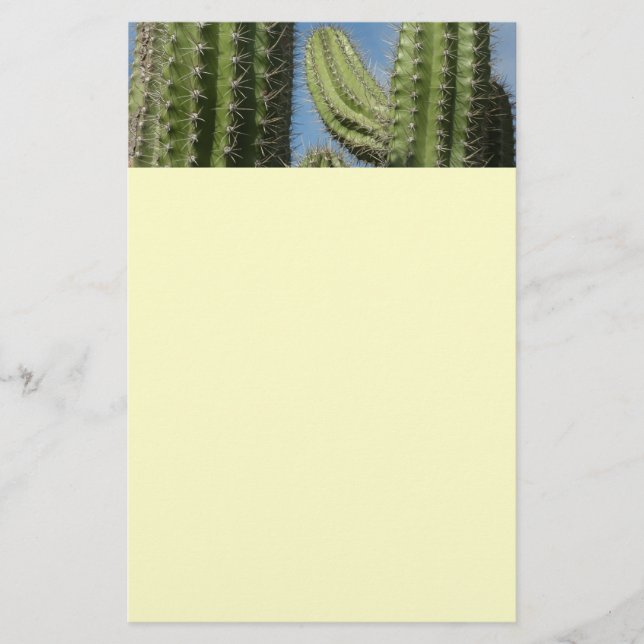 Papelaria Barrel Cactus I Desert Photo (Frente)
