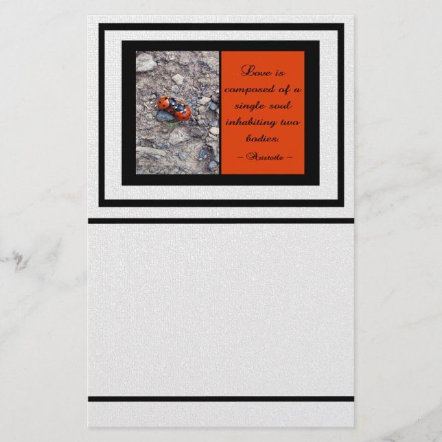 Papelaria Beijos do joaninha (Frente)