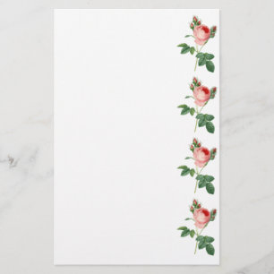 Papelaria Beira botânica da ilustração do vintage do rosa do