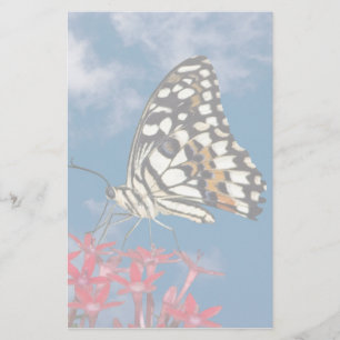 Papelaria Bela Borboleta