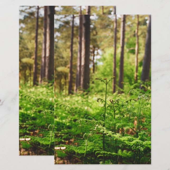 Papelaria Bela floresta férrea (Frente/Verso)