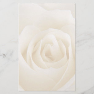 Papelaria Bela rosa de creme branco