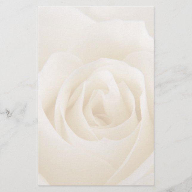 Papelaria Bela rosa de creme branco (Frente)