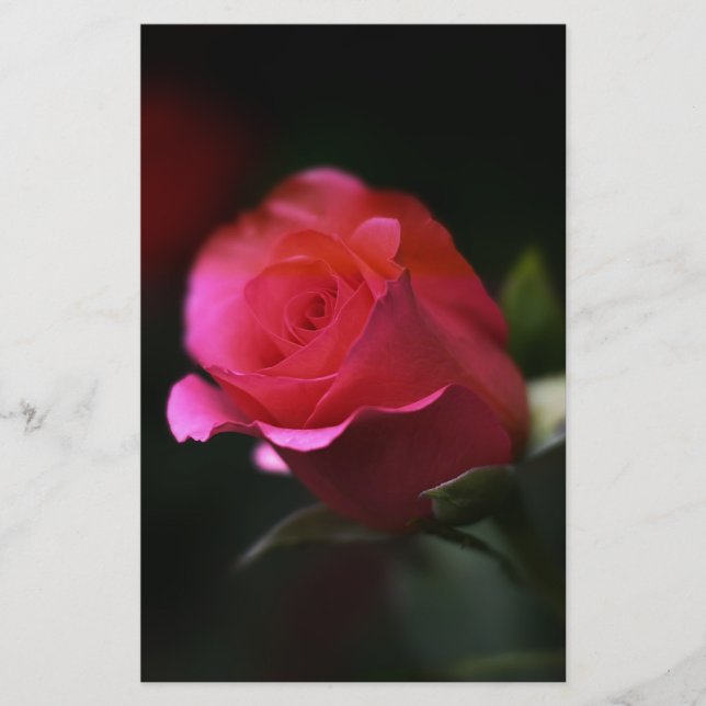 Papelaria Bela Rosa vermelha (Frente)