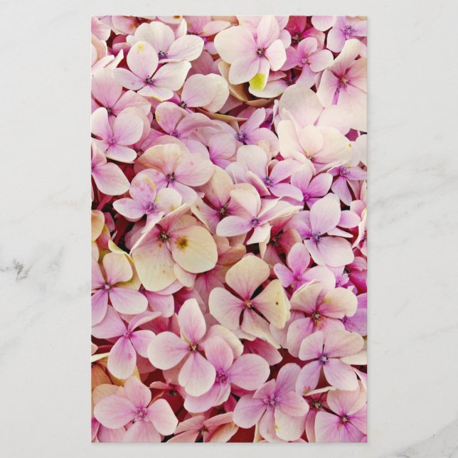 Papelaria Belos Flores de Hydrangea (Frente)
