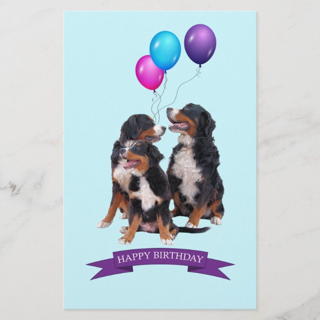 Papelaria Bernese Mountain Dogs Feliz Aniversário (Frente)