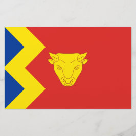 Papelaria Birmingham City Flag