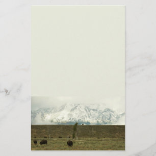 Papelaria Bison no Grand Teton National Park Fotografia