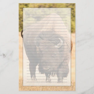 Papelaria Bisonte