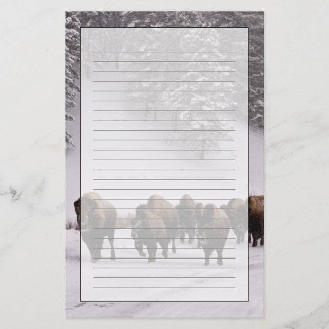Papelaria Bisonte no inverno (Frente)