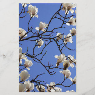 Papelaria Blooming Magnolias