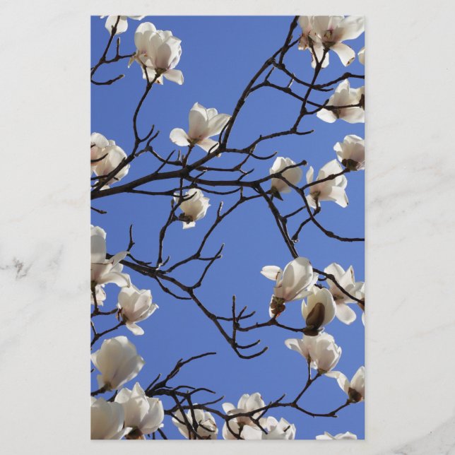 Papelaria Blooming Magnolias (Frente)