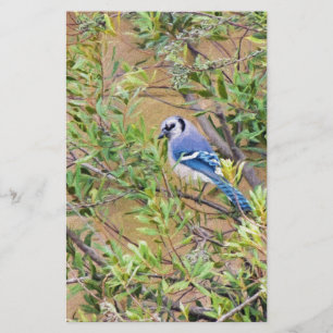 Papelaria Blue Jay sobre Myrtle da Cera do Sul